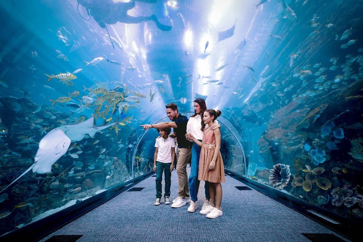 Dubai Mall Near Palmiera at The Oasis